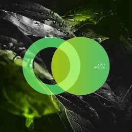 Y Do I — Mystica — обложка